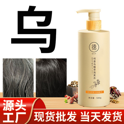 Polygonum Nutrition shampoo family daily Hair nursing Oil refreshing Official quality goods wholesale On behalf of