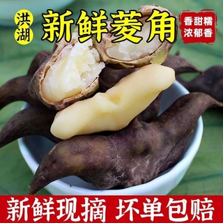 湖北洪湖当季现挖新鲜菱角带壳粉糯老菱角青黑菱角新鲜蔬菜3斤装