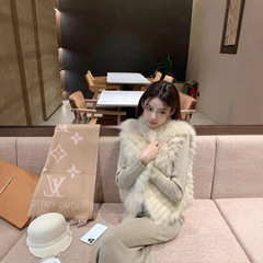 网红同款车条狐狸毛皮草马甲外套秋冬新款2025显瘦毛毛背心女