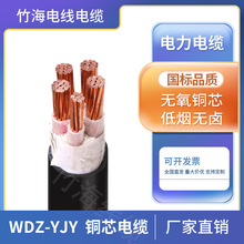 WDZ-YJY~о|3*10ƽ0.6/1KV͉ȼ͵͟ou늾|