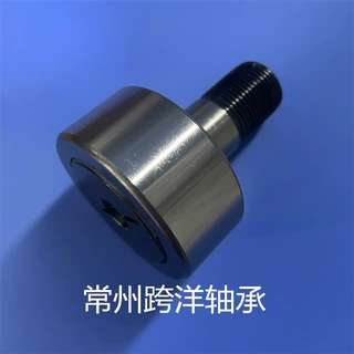 厂家直销BPN01-d10-PP 轴承随动器 BPN21-d10-PP 凸轮随动器轴承