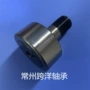 随动bpn21-d10-ppbpn01-d10-pp凸轮轴承