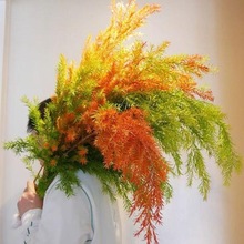 Sl؛SǧӽɫtɫGɫɫxˮGֲɻ