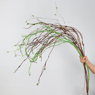 ������֦��ֲ֦��l����֦���~ �廨��Ʒ��ˇ���b �S�����l