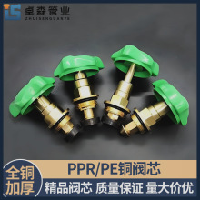 PPR升降式截止阀阀芯水管阀门芯水阀开关自来水4分20管件25配件32