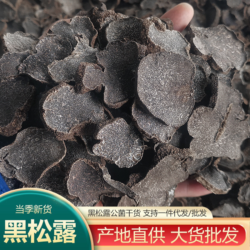 云南黑松露干片野生菌猪拱菌黑松露块菌干货精选新货批发代发