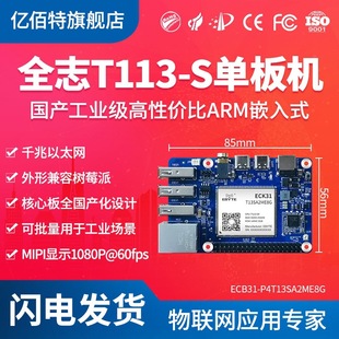Quanzhi T113-S Single Board Computer Domestic Embedded Linux Development Board Dual-Core A7 RISC-V Compatible with Raspberry Pi