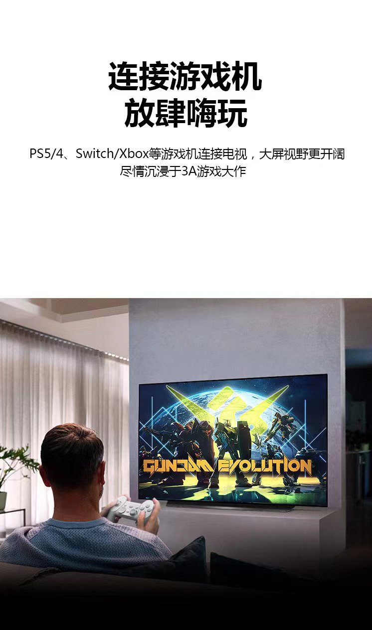 长城HDMI经济版- (9).jpg