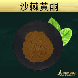 沙棘黄酮 林洲 沙棘叶提取物 总黄酮叶子来源 HPLC 100g/袋