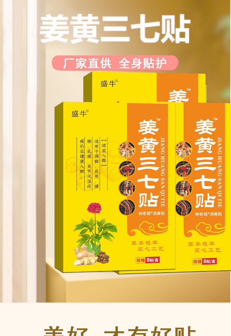 Turmeric and Notoginseng Herbal Patch Neck Support 8 Patches per Box specifications