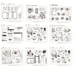 新品透明印章 DIY手账背景元素复古印章