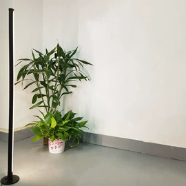 植物生长灯;创意台灯;阅读台灯