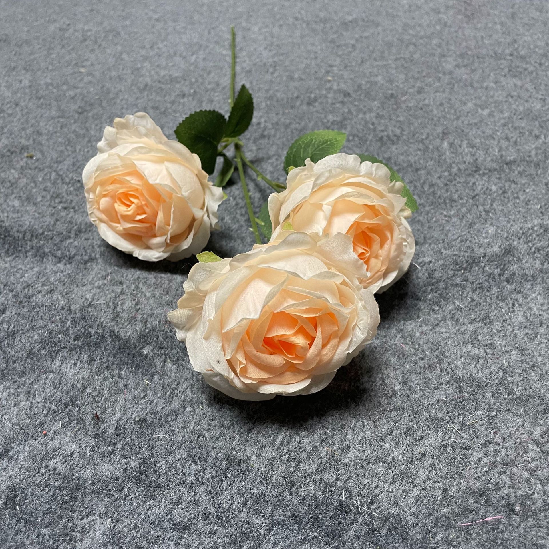 샴페인