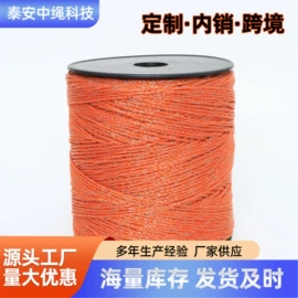 塑料丝塑料绳;集成防盗系统;绳子类