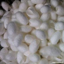 优质一件蚕壳批发壳蚕丝茧半成品原料无包邮原色蚕衣蚕茧硫磺规格