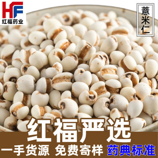 ޲�����F����؛����޲��޲����С�w�����w�����l��ș�ĳ�޲����