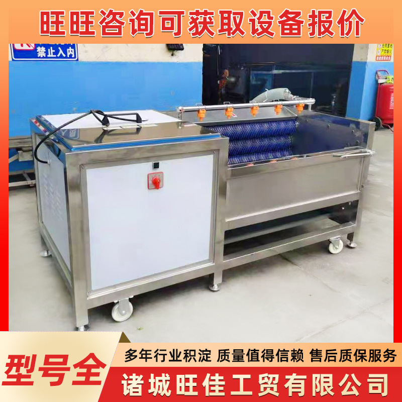 大姜毛辊去皮清洗机 红薯清洗机 毛刷清洗机 土豆清洗去皮清洗机