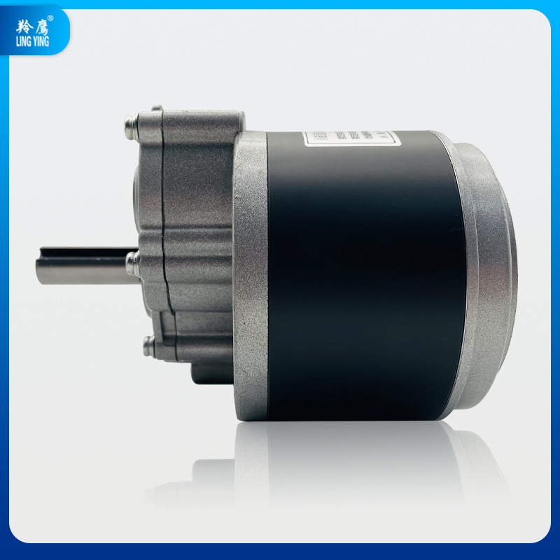 Impingle MY1016Z imán permanente DC cepillado baja velocidad de dos etapas reducción de vehículo eléctrico motor 24V250W Motor de silla de ruedas