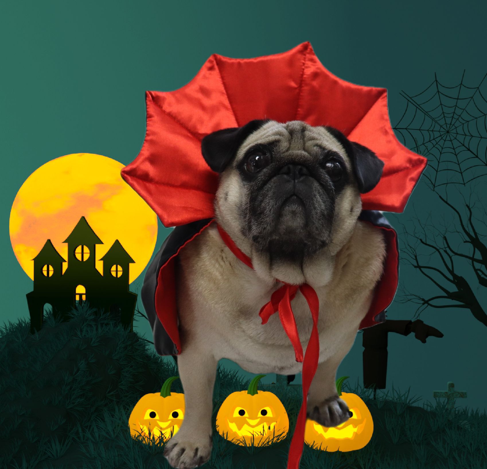 Amazon Pet Halloween Cloak Hat Holiday Set Dog Transformation Costume Christmas Dressup Pet Clothes