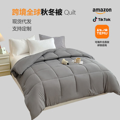 国境を越えてtemuアマゾンの布団を提供しています。