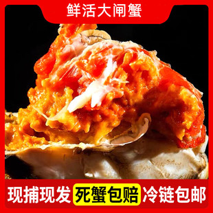 �Fُ���l�F؛���K���lз�r���з����M�S��ɷʴ�зĸз���]