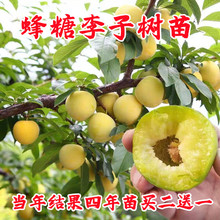 ���ڷ������Ә����F��Ó�����Ә��������Ϸ������������Ԯ���Y��