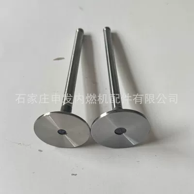 3924492, exhaust valve – Valves and components