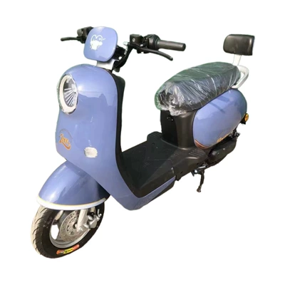 Auto Parts and Accessories: Dingzhi Commuter Special Long