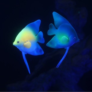 �S�����l�~���b�ˮ����Ʒ���������~����ʹ�~���ɹ�ֲ��[���b�