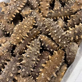 水产礼盒类;海参