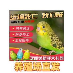 �v��Ƥ�W�^���B��С�͕��fԒ�Č����B�������B���P���BС�B�}
