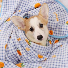 ؈��С���Ӳ�ż˯�Xë̺С؈̺�ӱ�ů�ļ�ͨ��ɺ���q˯̺