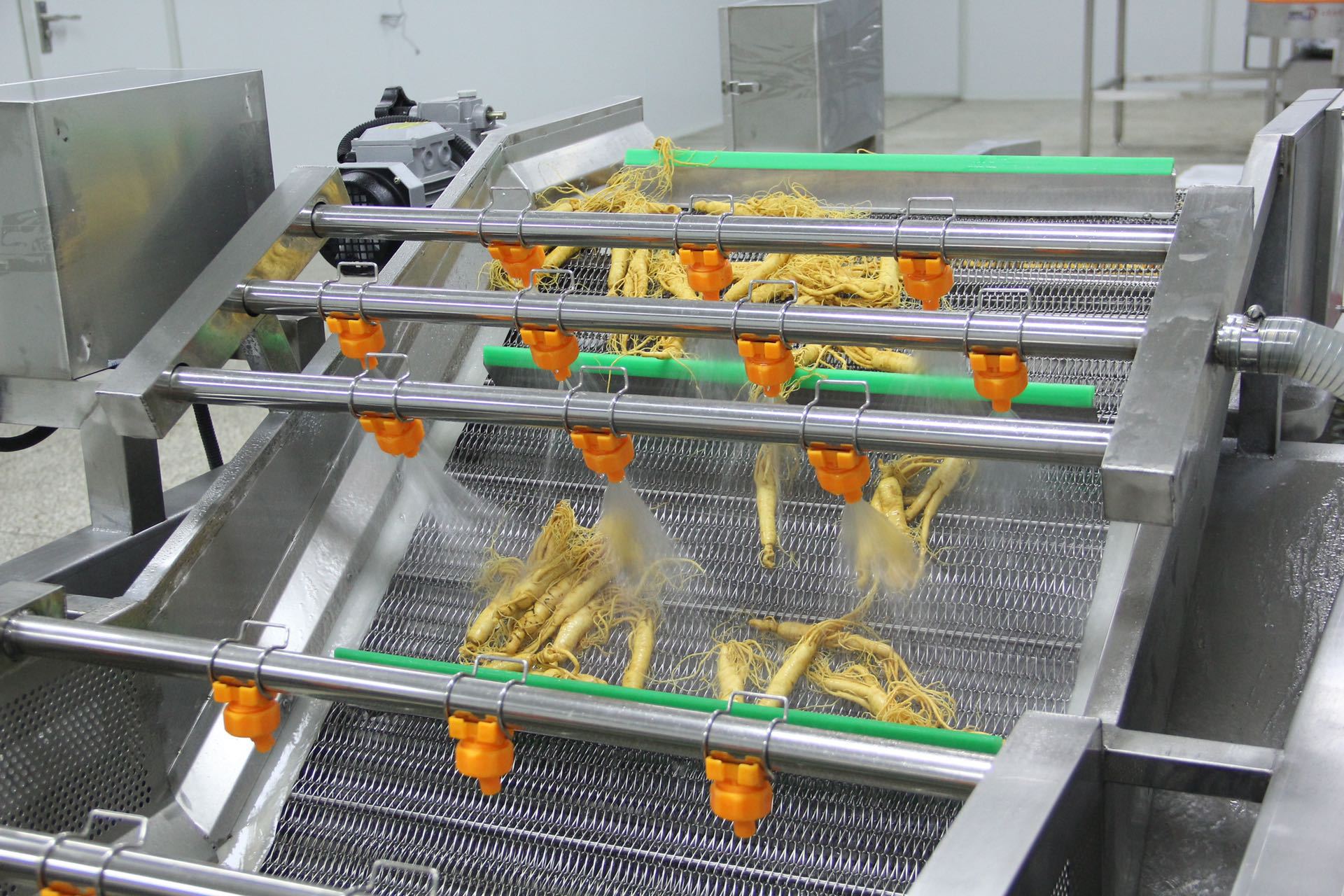 Changbai Mountain Fresh Ginseng Root Preserved for Wine and Cooking overview