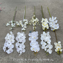 ���Q�߷º����m�S�Ұ�ɫ�����m�����R��ɏ�������Y�Ƶ�ٻ����l