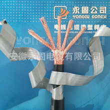 �S��ֱ�N DJYPVP22-5*2*1.5����ͨӍ��|䓎��z�b����Ӌ��C��|