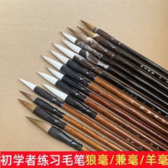 狼の木の竿を兼ねて学生の初心者の毛筆の国画の書道の養成訓練班の学生の成人は字の筆を練習します。