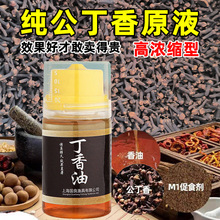 纯丁香油钓鱼专用公丁香酒中药三香油小药野钓鲫鱼冬季诱鱼开口剂