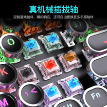 �Cе�I�P������b���S��X�о�104�I�͹��������늸��Α��I�P