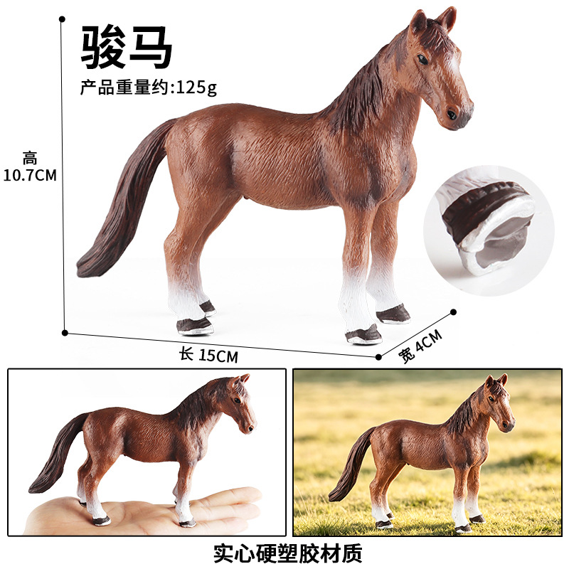 097 caballo