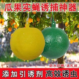 Fruit Fly Trap Citrus Fly Trap Sticky Fly Ball Insect Trap Fruit Fly Adhesive Board Bee Mosquito Trap