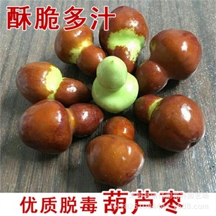 ���J���޽ӗ������������綬���Ә���ͥԺ����ԷNֲ����Y��