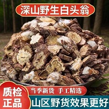 白头翁粉中药材正品超细白头草奈何草野丈人胡王使者白头公中草药