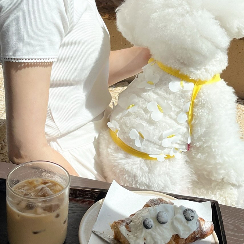 Primavera y verano perros delgados transpirables mariposa tridimensional malla transpirable sonrisa cara cabra pequeña ropa de mascotas perros gatos