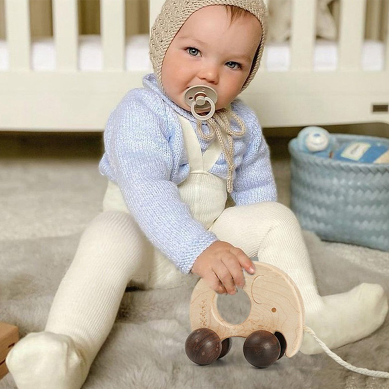 Wooden children's educational early education toys log inertia Beech animal car baby soothing toddler push and pull toys