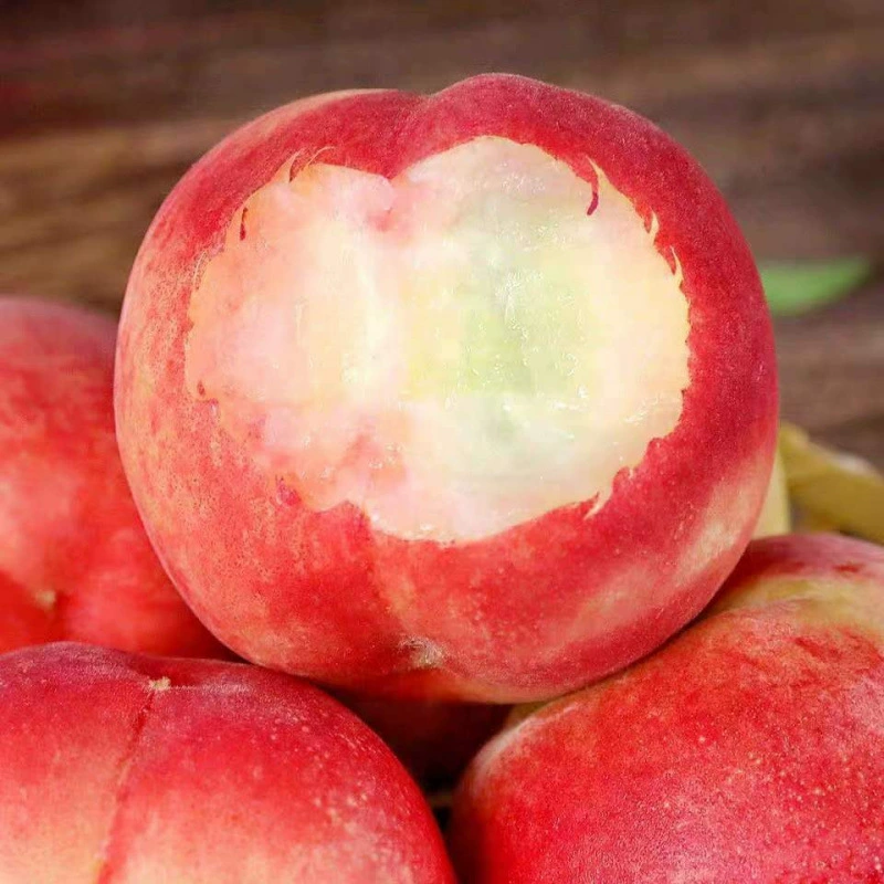 Свежесобранные хрустящие, сладкие и сочные персики в сезон. Сезонные фрукты для беременных. Персики для беременных.