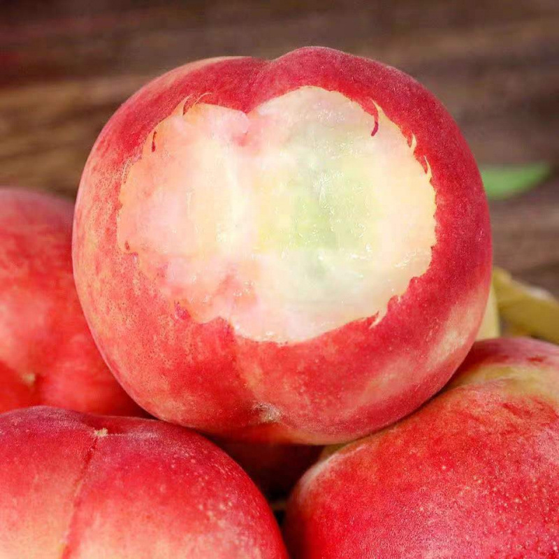 Freshly Picked Crispy, Sweet and Juicy Peaches in Season. Seasonal Fruits for Pregnant Women. Peaches for Pregnant Women