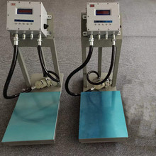 BT6ȼӳӎModbus-RTUͨӍRS485ʽ̨300kg200kg