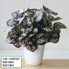 ���滨��ֲ��پGֲ�҃����bG�}����С���ԼҾ�����t�ƻ��[��