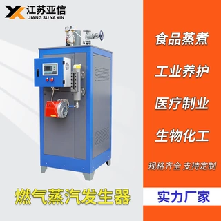 燃气蒸汽发生器1吨全自动运行食品加工生物化工天然气蒸汽锅炉