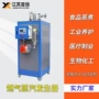 运行蒸汽自动生物锅炉